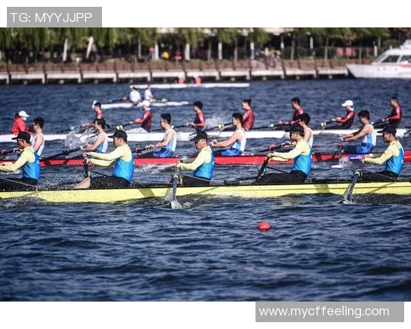 以体育组织为核心构建健康生态系统推动全民健身与竞技体育协同发展