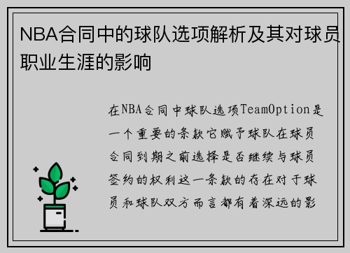 NBA合同中的球队选项解析及其对球员职业生涯的影响